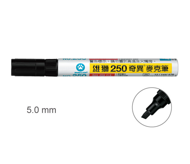 【雄獅】250 油性速乾奇異筆 黑色/支