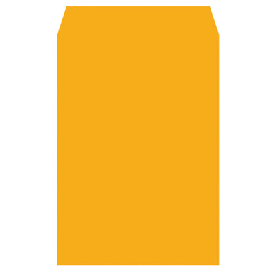 博崴 N12A4 A4金黃公文封 -100個入 / 包