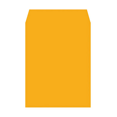 博崴 N1209 大9K金黃公文封 -100個入 / 包  