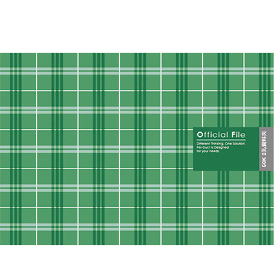 博崴 AO2037 50K布格紋資料卡夾-綠 / 個