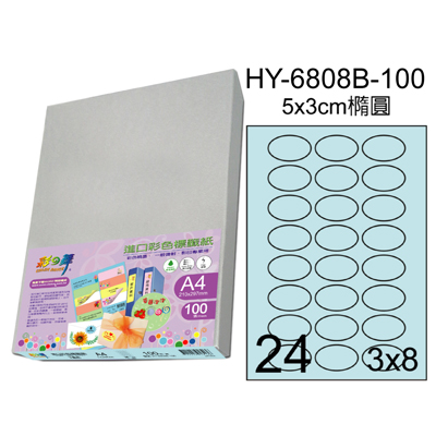  彩之舞 進口3合1彩色標籤-24格橢圓(5色) 100張/包 HY6808-100  