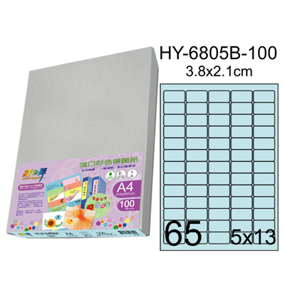 彩之舞 進口3合1彩色標籤-65格圓角(5色) 100張/包 HY6805-100  