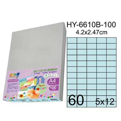 彩之舞 進口3合1彩色標籤-60格直角(5色) 100張/包 HY6610-100  