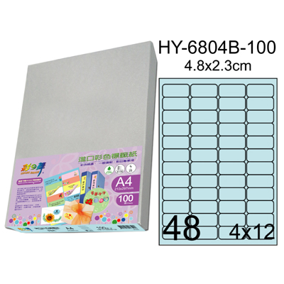 彩之舞 進口3合1彩色標籤-48格圓角(5色) 100張/包 HY6804-100  