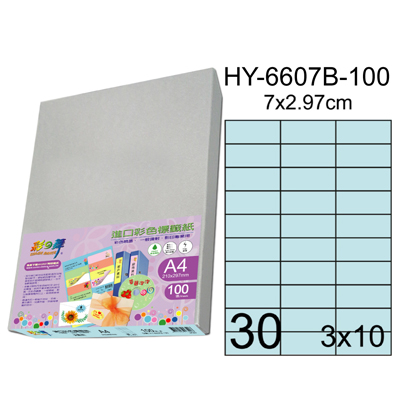 彩之舞 進口3合1彩色標籤-30格直角(5色) 100張/包 HY6607-100  