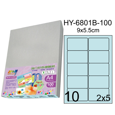  彩之舞 進口3合1彩色標籤-10格圓角(5色) 100張/包 HY6801-100  