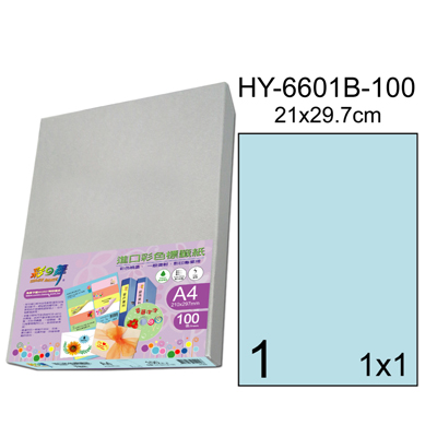 彩之舞 進口3合1彩色標籤-1格直角(5色) 100張/包 HY6601-100  