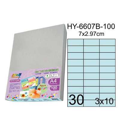 彩之舞 進口3合1彩色標籤-30格直角(5色) 100張/包 HY6607-100  
