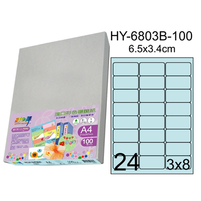 彩之舞 進口3合1彩色標籤-24格圓角(5色) 100張/包 HY6803-100  
