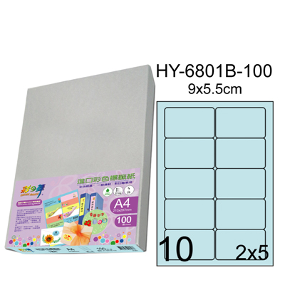 彩之舞 進口3合1彩色標籤-10格圓角(5色) 100張/包 HY6801-100  