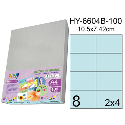 彩之舞 進口3合1彩色標籤-8格直角(5色) 100張/包 HY6604-100  