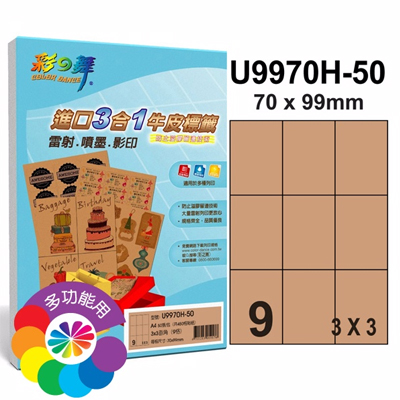 彩之舞 進口3合1牛皮標籤-9格直角 50張/包 U9970H-50